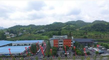 中國(guó)魚子醬第一股清江鱘龍漁業(yè)