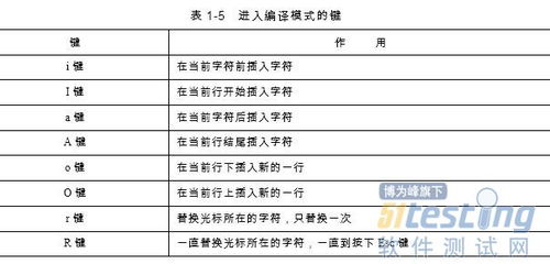 linux沒有盤符的概念 只有一個(gè)根目錄,linux系統(tǒng)的文件和目錄 測(cè)試工程師核心開發(fā)技術(shù) 4 ...